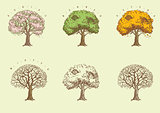 Set of trees at engraving style
