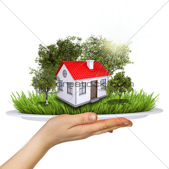 Hand holds a plate. On the plate is a small house