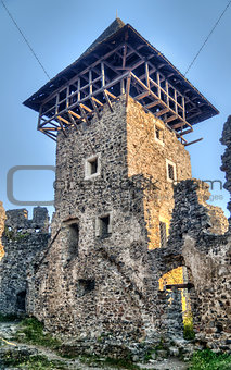 Castle in village Nevicke, Ukraine