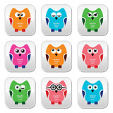 Owl cartoon vector icons set