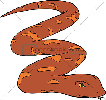 Red Isolated Snake