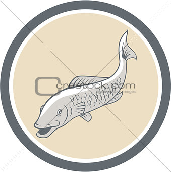Trout Swimming Cartoon Circle