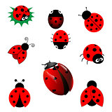 set of ladybugs