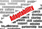 Adaptability word cloud