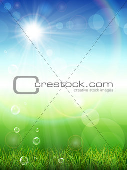 Summer background with green grass