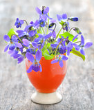 violets flowers (Viola odorata)