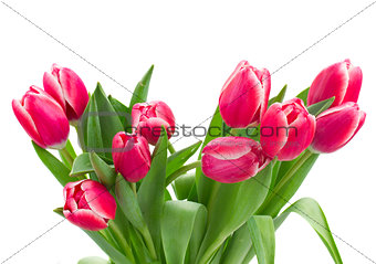 red   tulips bouquet close up