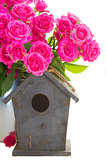 pink roses with bird cage