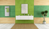 Green contemporary bathroom