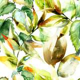 Watercolor illustration of green leaves