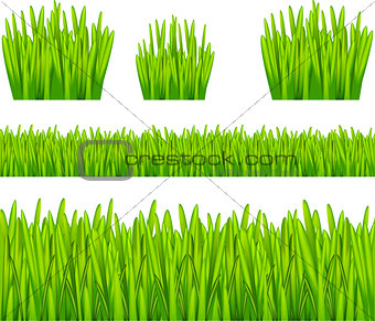Abstract Background with Grass