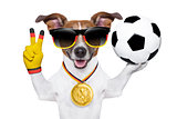brazil  fifa world cup  dog