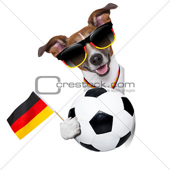 brazil  fifa world cup  dog