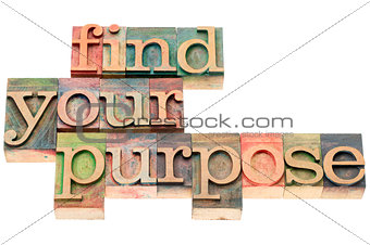 find your purpose in wood type