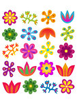 flowers vector set
