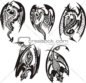 Set of black and white powerful dragons