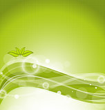 Eco background with green leaves