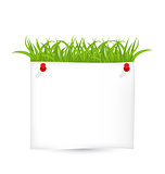 Paper sheet with green grass isolated on white background