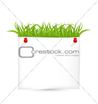 Paper sheet with green grass isolated on white background