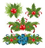 Set holly berry sprigs for christmas decorations