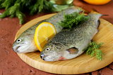 fresh raw trout fish on the kitchen board
