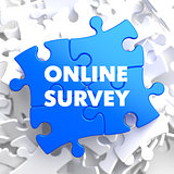 Online Survey on Blue Puzzle.