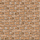 Coquina Wall. Seamless Tileable Texture.