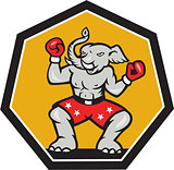 Elephant Mascot Boxer Cartoon
