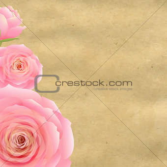 Pink Rose With Old Paper 