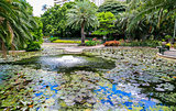 City Botanic Gardens, Brisbane, Australia