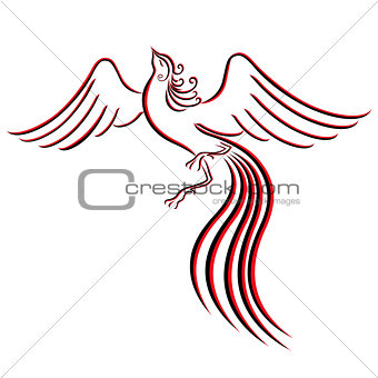 Black and red graceful Firebird contour