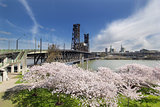 Cherry Blossoms at Portland Waterfront