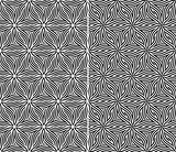 Set of Two Seamless Floral Patterns