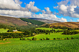 Scenic landscape view of Scottish highlands meadows