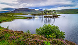 Landscape view of trees in a lake at Scottish highlands