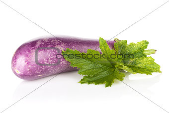 Fresh ripe eggplant