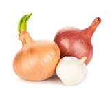 Fresh ripe onion and garlic