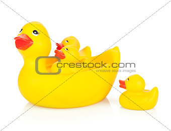Rubber duck family