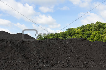 Stockpile of coal 