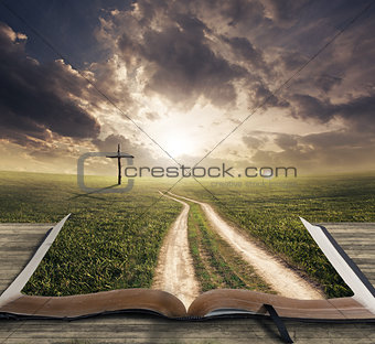 Man walking on Bible