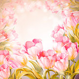 Tulips flowers background. 