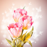 Tulips flowers background. 