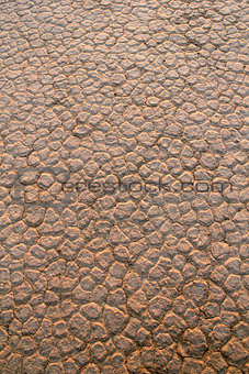 Wadi Rum Desert dry soil detail.