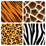 Animal print seamless patterns