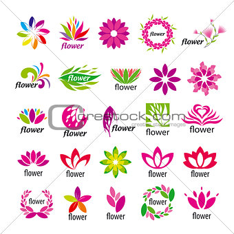 Collection of vector multicolored floral logos