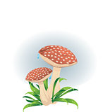 Red Mushrooms 