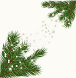 Christmas tree branches vector background 