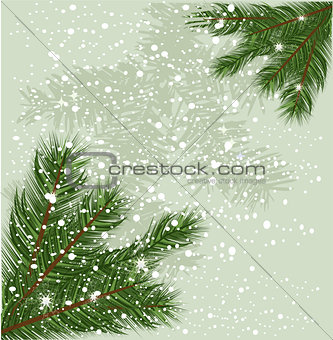 christmas tree branches 