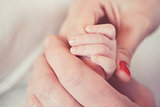 Hand holding a newborn hand