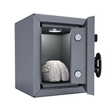 Brain in an open metal safe